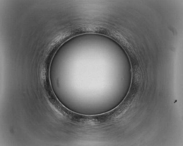 X0000113030683200908271455