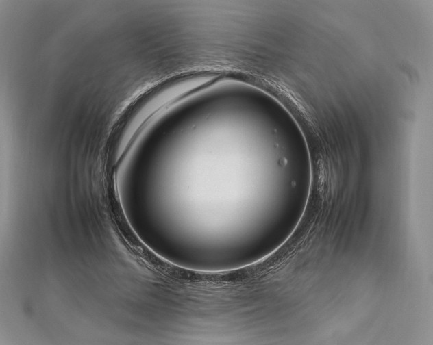 X0000113030684200908271455