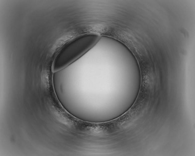 X0000113030688200908271455