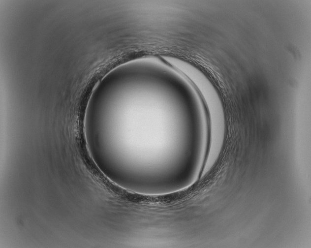 X0000113030689200908271455