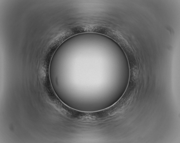 X0000113030691200908271455