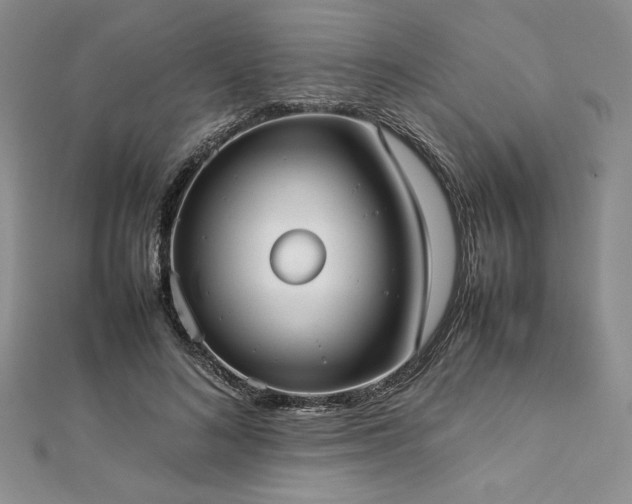 X0000113030692200908271455