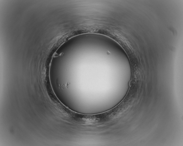 X0000113030693200908271455