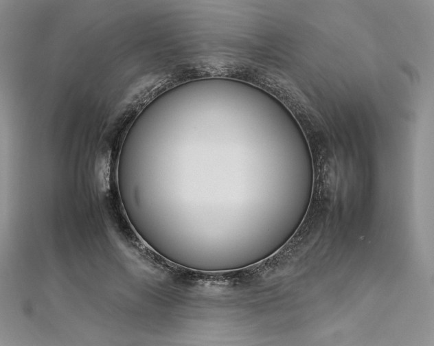 X0000113030694200908271455