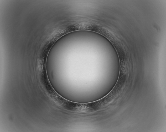 X0000113030695200908271455