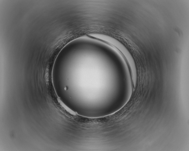 X0000113030696200908271455