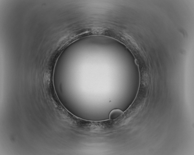 X0000113030697200908271455