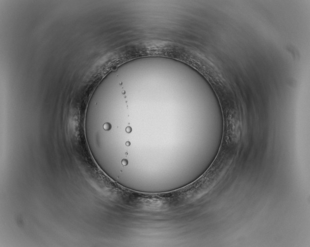 X0000113030698200908271455