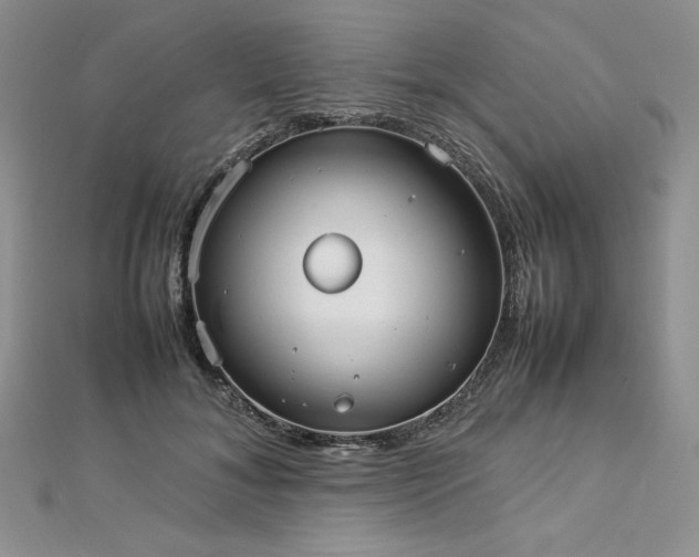 X0000113030700200908271455