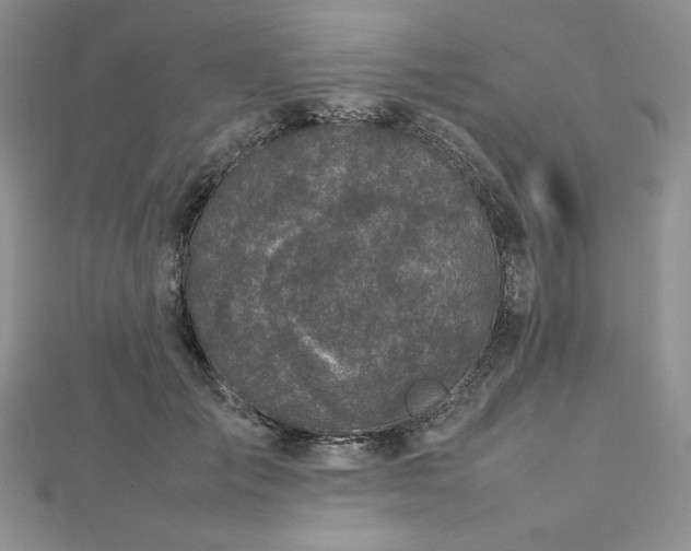 X0000113030701200908271455