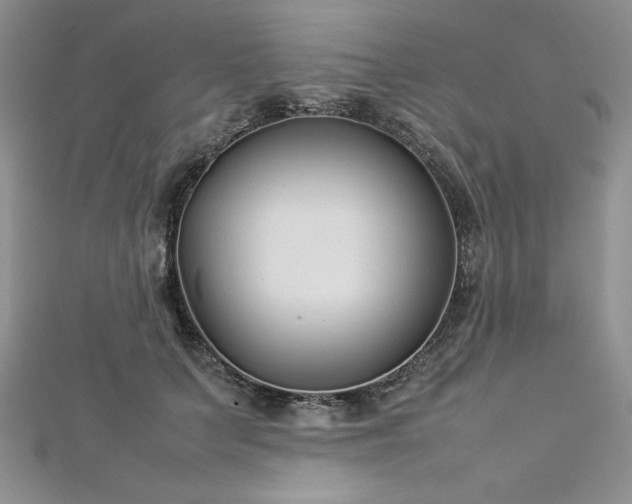 X0000113030703200908271455