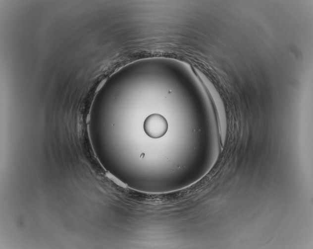 X0000113030704200908271455