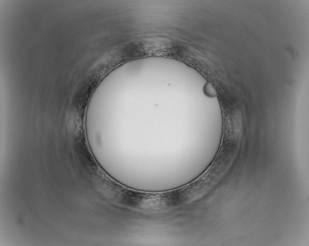 X0000113030705200908271455