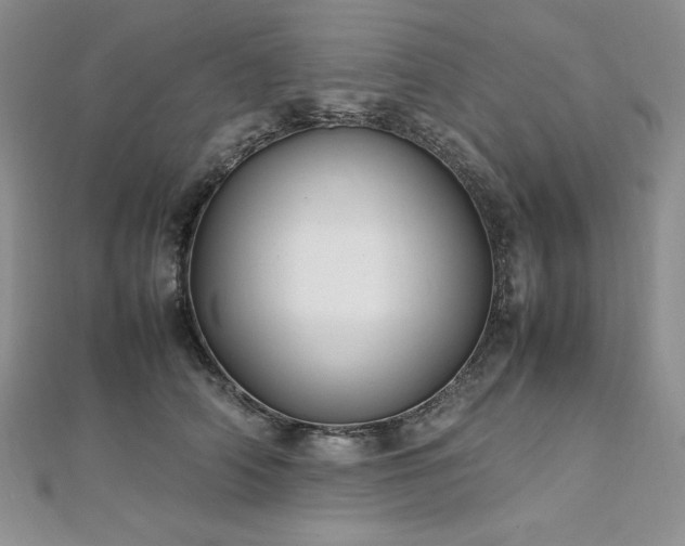 X0000113030706200908271455