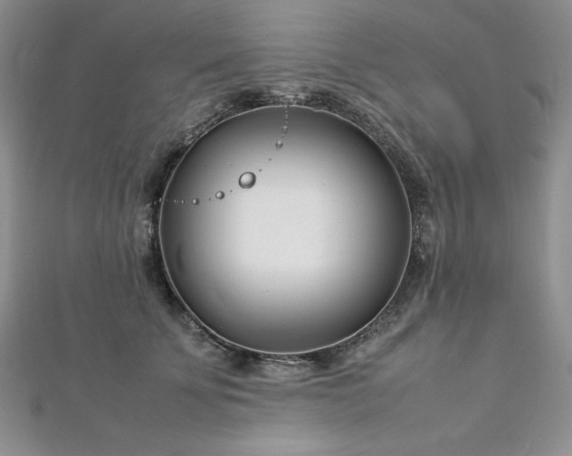 X0000113030707200908271455