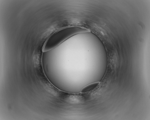 X0000113030708200908271455