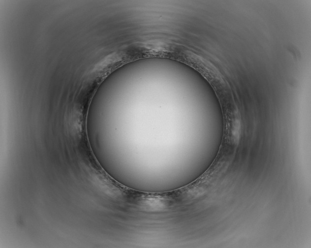 X0000113030710200908271455