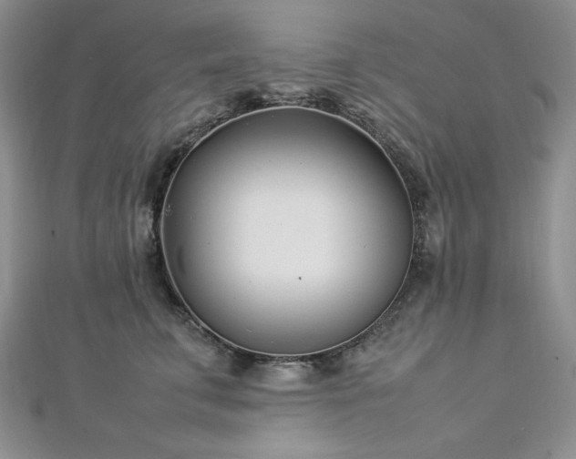 X0000113030711200908271455