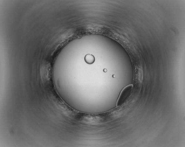 X0000113030712200908271455