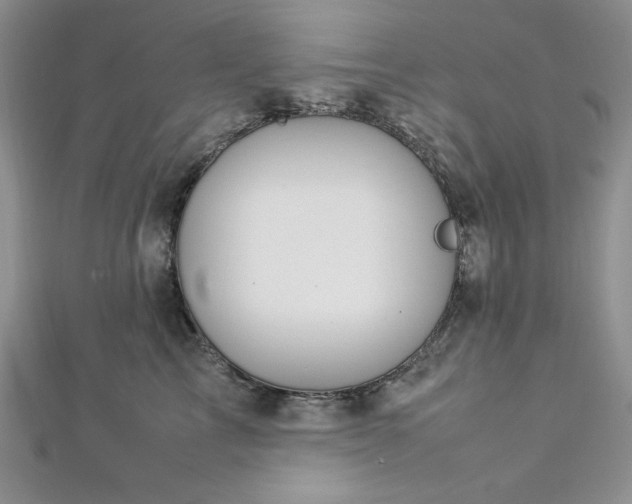 X0000113030713200908271455