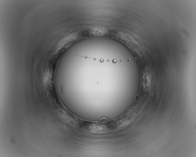 X0000113030714200908271455