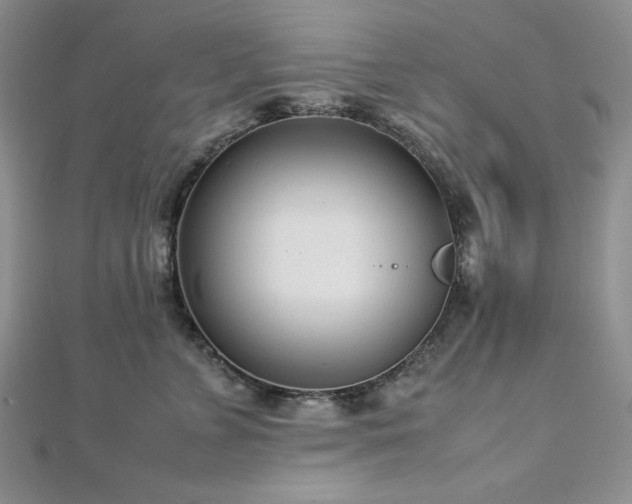 X0000113030715200908271455