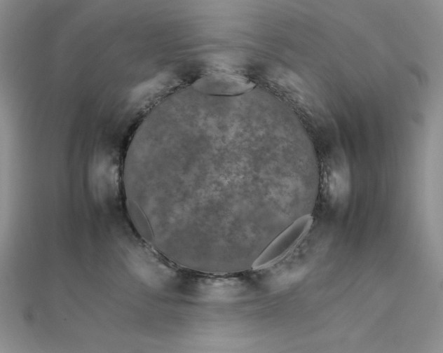 X0000113030716200908271455