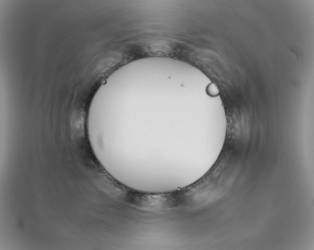 X0000113030717200908271455