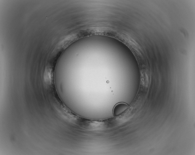 X0000113030718200908271455