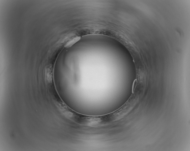 X0000113030719200908271455