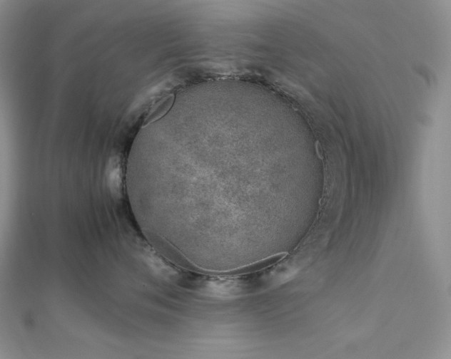 X0000113030720200908271455