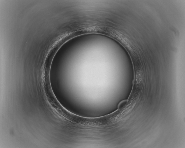 X0000113030722200908271454