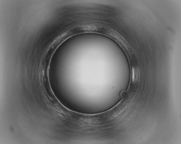 X0000113030723200908271454