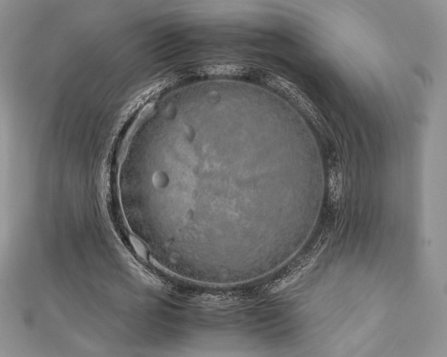 X0000113030725200908271454