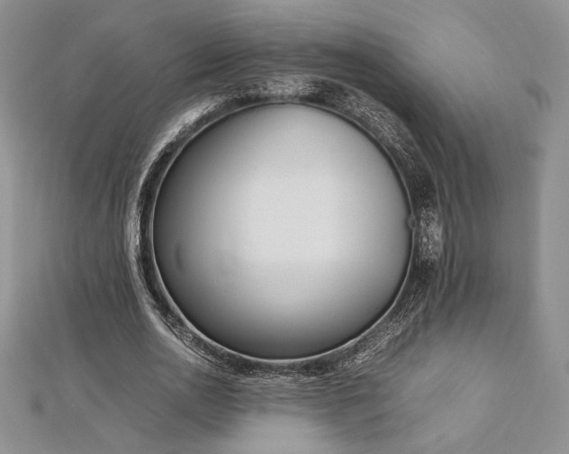 X0000113030726200908271454