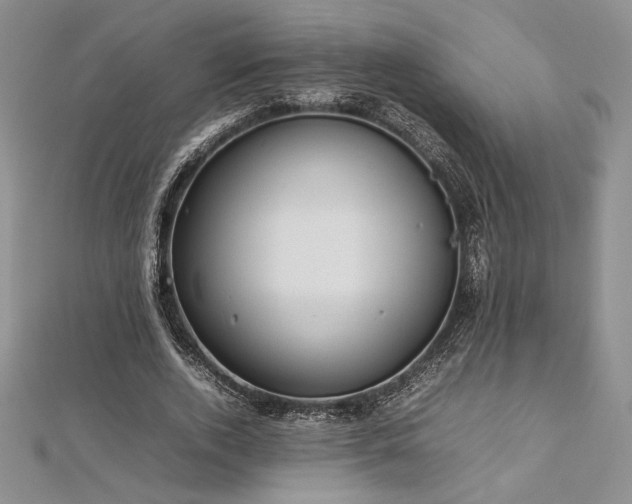 X0000113030728200908271454