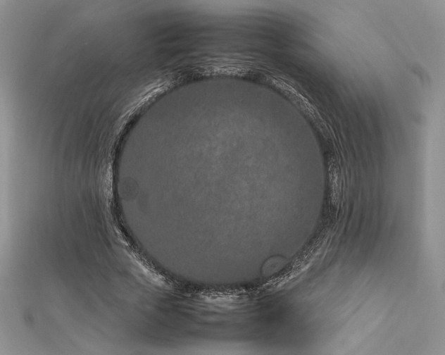 X0000113030729200908271454