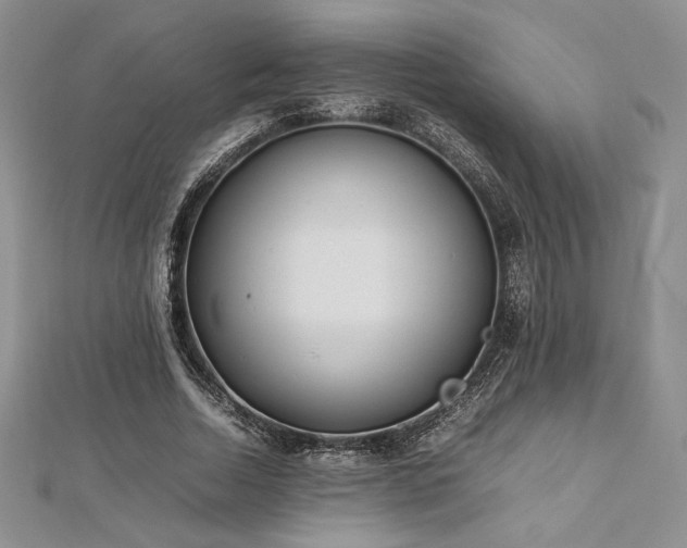 X0000113030730200908271454