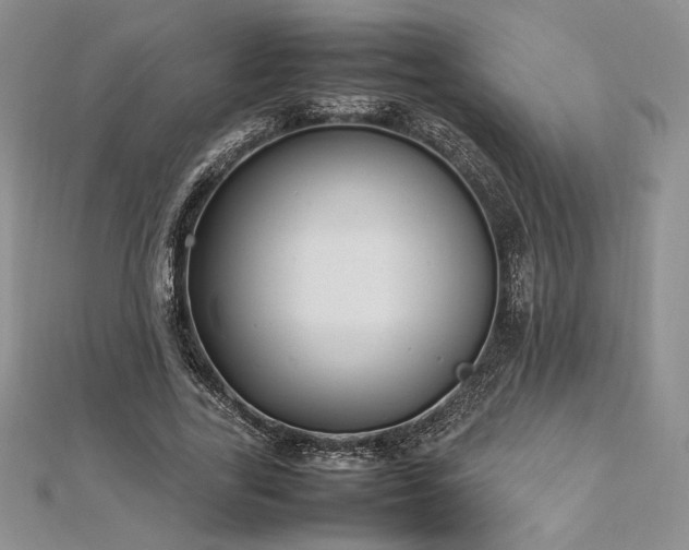 X0000113030731200908271454