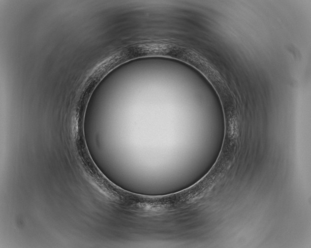 X0000113030733200908271454