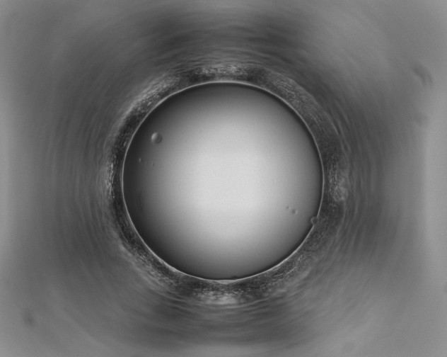 X0000113030735200908271454