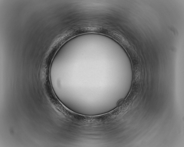 X0000113030736200908271454