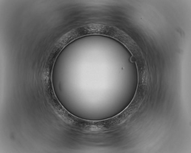 X0000113030737200908271454