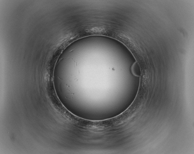 X0000113030739200908271454