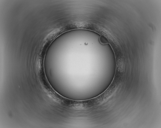 X0000113030740200908271454