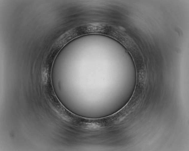 X0000113030741200908271454