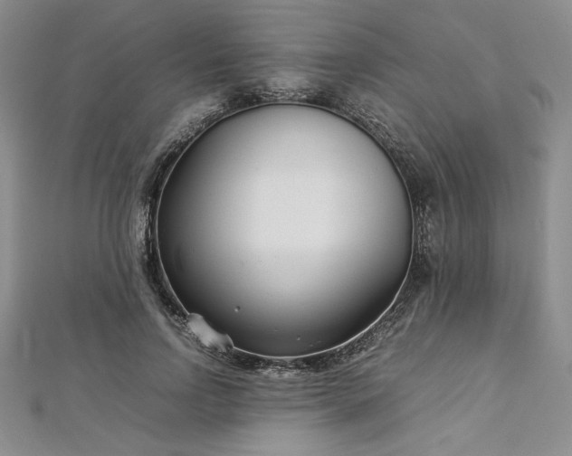 X0000113030742200908271454