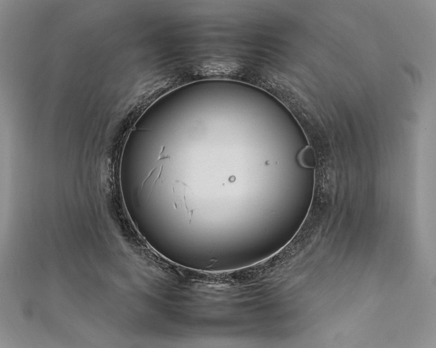 X0000113030743200908271454