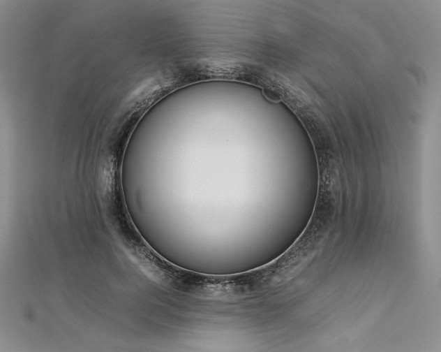 X0000113030744200908271454