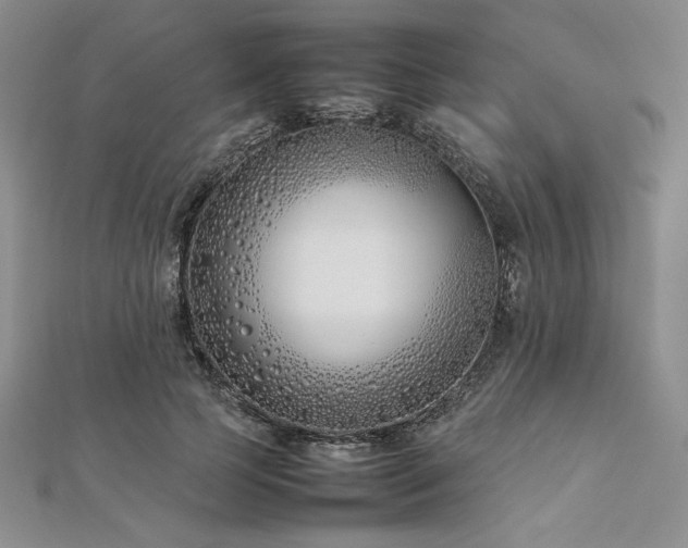 X0000113030745200908271454